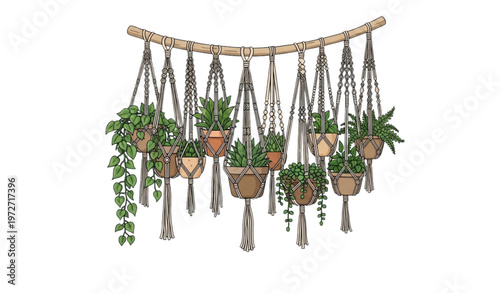 Flat cartoon macrame plant hangers vector set for home decor