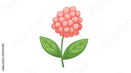 Single hand drawn illustration of a round cluster of pink berries or flowers with two green leaves isolated on a white background.