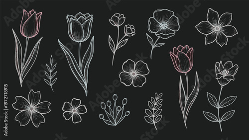 Elegant collection of hand-drawn white and pink floral illustrations on a solid dark gray background for a sophisticated and refined look.