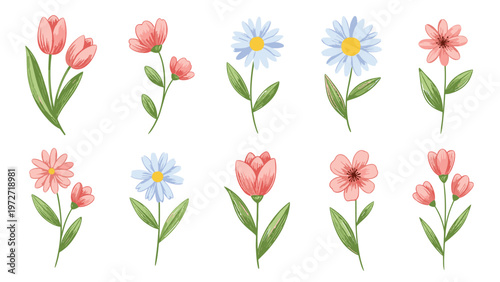 Collection of different colorful flat style flower illustrations featuring tulips and daisies with green leaves on a clean white background.