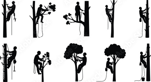 Arborist silhouettes set featuring professional tree surgeons climbing and pruning trees with ropes and safety gear for forestry and garden maintenance services