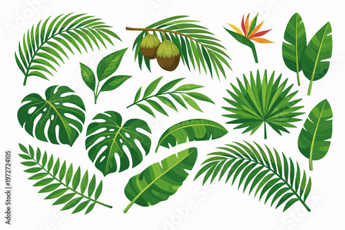 Collection of tropical watercolor leaf illustrations featuring lush jungle plants, green palm fronds, monstera foliage, banana leaves, and bird of paradise flowers for exotic botanical designs.