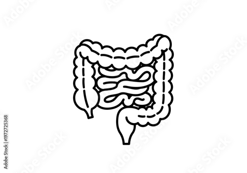 A perfectly outlined art of Human both large and small intestine icon digestive system anatomy black line vector illustration