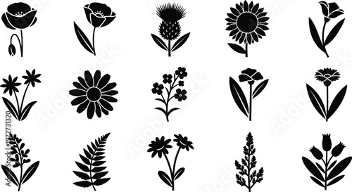 Collection of fifteen black floral silhouette on white background flower poppy