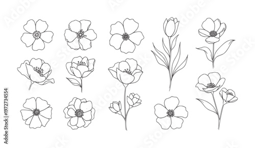 Black and white hand drawn floral with varied petal flowers petals stems buds leaves