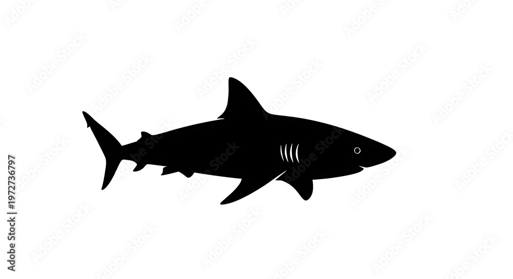 Obraz premium Black silhouette of a shark swimming.