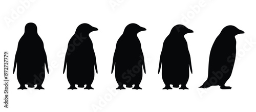 Minimalist black silhouettes of penguins standing upright in row pattern for wildlife, design, and educational illustration use