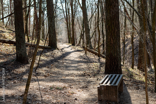 Wooden Bench Along Sunny Forest Hiking Path In Vilnius Lithuania