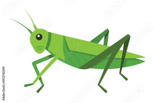 a small grasshopper  flat cartoon design  green to