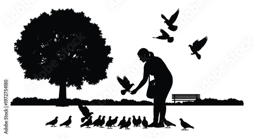 A woman feeds birds in a park framed by a large tree and a park bench presented as a silhouette