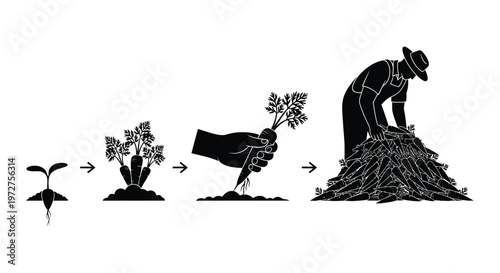 A graphic depiction illustrates the growth of a carrot from seed to harvest featuring a farmer silhouette high quality professional detailed