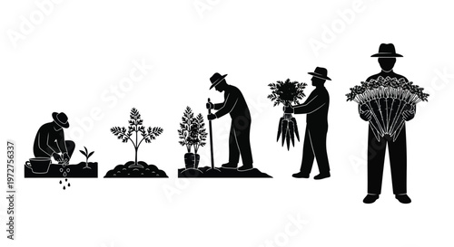 A black and white illustration depicts the stages of plant growth from seed to harvest in silhouette high quality professional detailed