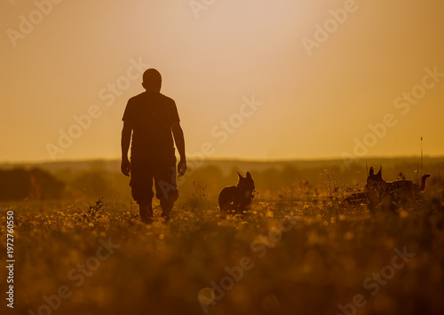 Silhouettes at Sunset: Man and His Dogs in a Golden Field
