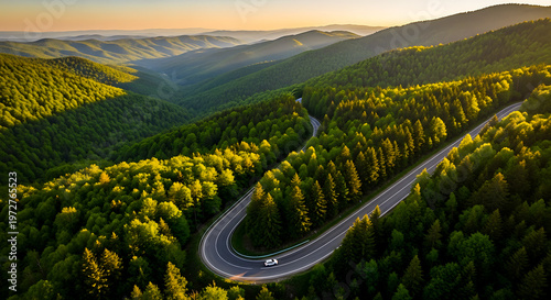 Aerial view of winding mountain road through green pine forest. Scenic highway curves in summer valley at sunset.