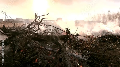 枯れ草 野火の炎のテクスチャー動画