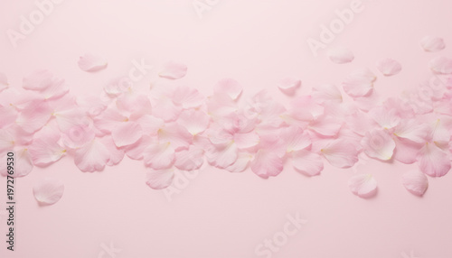 Pink Cherry Blossom Petals Seamless Pattern Elegant Floral Background.