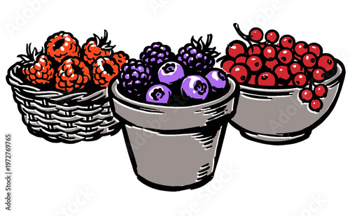 Eat well live well. Fresh berry harvest artwork for t-shirt print, poster, sticker. Raspberries, blueberries, and currants, vector illustration.
