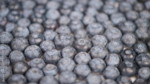 Vivid blueberries featured with delicate lighting and blurred background. Detailed portrayal of clustered blueberries illuminated softly for dietary or packaging imagery