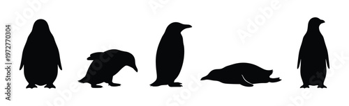 Tableau sur toile Penguin Activity Silhouette Pose Set — Standing, Waddling, Lying, Sliding Black
