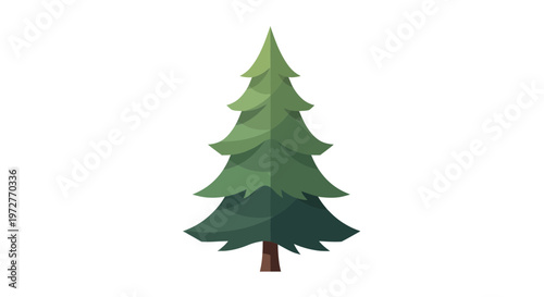 Stylized Evergreen Tree Isolated on White Background
