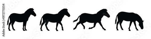 Horse Walking and Trotting Silhouette Pose Set — Standing, Walking, Trotting, Grazing Black Flat Vector Illustration