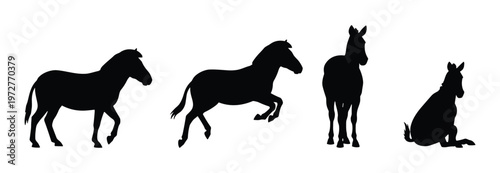 Horse and Donkey Silhouette Pose Set — Standing, Trotting, Sitting Poses Black Flat Vector Illustration