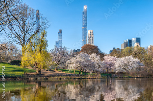 Spring view of Central Park with Yoshino cherry trees, lake reflection and Billionaires Row skyscrapers in Midtown Manhattan, New York City