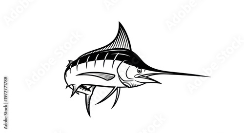 Marlin Fish Silhouette, Ocean Predator, Sport Fishing Icon