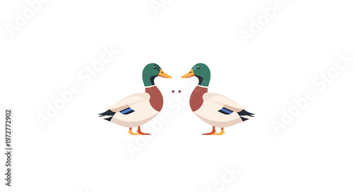 Colorful mallard ducks facing each other with minimalistic style on white background
