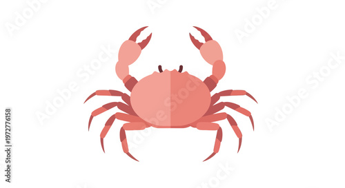 Geometric flat crab design on white background