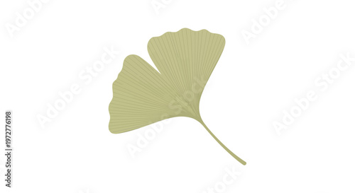 Minimalist ginkgo leaf design: elegant nature-inspired art