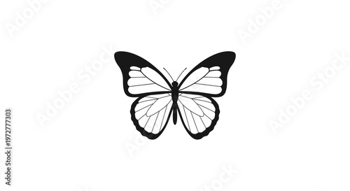 Elegant black and white butterfly silhouette