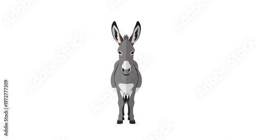 Minimalist donkey portrait on white background