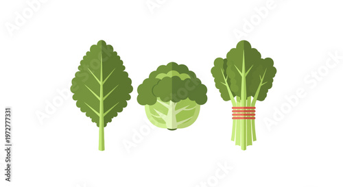 Leafy green vegetables in flat design: chard broccoli celery