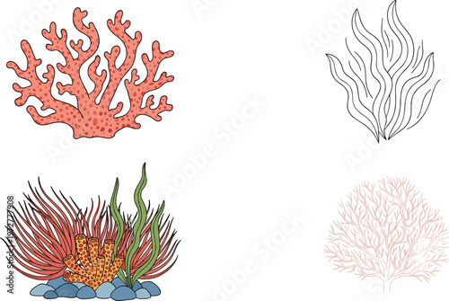 Sea Coral and Marine Plant Illustration Set with Line Art and Colored Reef Elements for Ocean Life, Underwater Ecosystem, and Aquatic Nature Design