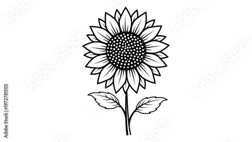 Foto Minimalist sunflower vector icon illustration, hand-drawn black line art on white background, blooming sunflower with detailed petals, seeds, stem and leaves, clean scalable SVG graphic element