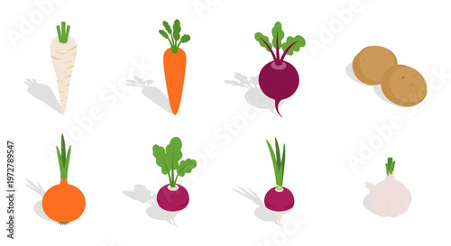Isometric root vegetables set with carrot beet and potato on white