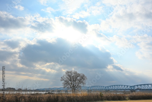Quadro su tela 阿賀野川河川敷公園と泰平橋と朝日の風景（新潟県新潟市）