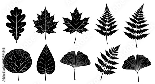 Collection of various leaf silhouettes on white background.