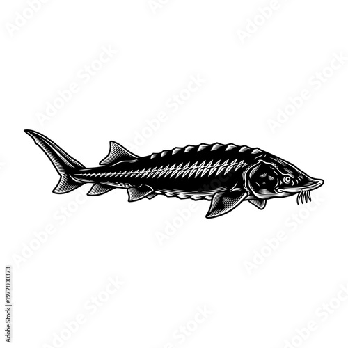 CXX Programming Code and Software Development Technology Vector Background