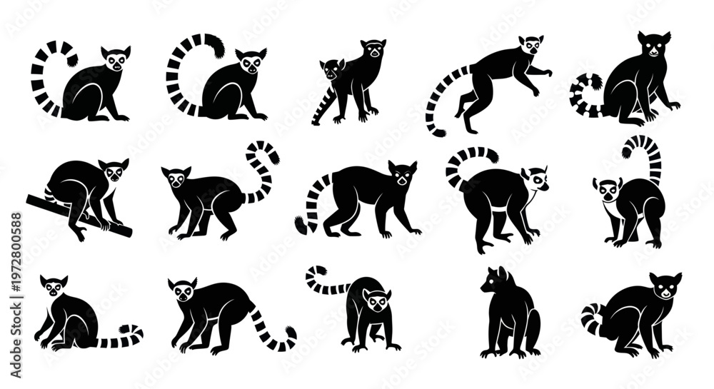 Obraz premium Set of Lemur Silhouettes in Various Poses, Vector Art