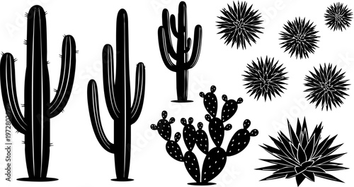 A diverse collection of vector desert plant illustrations showcasing various cacti and succulents for graphic design.