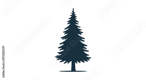 Silhouette of a tall evergreen pine tree, vector graphic, isolated on white background
