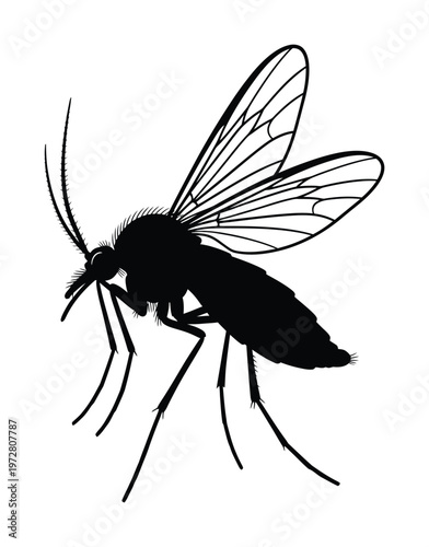 Vector of a mosquito with extended wings and legs.