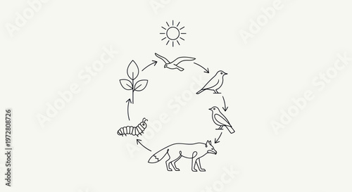 Ecosystem food chain cycle diagram.