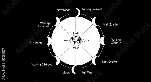 Lunar phases cycle illustration black white minimalist moon chart astronomy educational poster design
