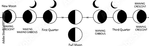 Lunar phases cycle illustration black white minimalist moon chart astronomy educational poster design
