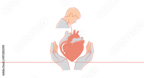 Doctor Holding Human Heart Organ.