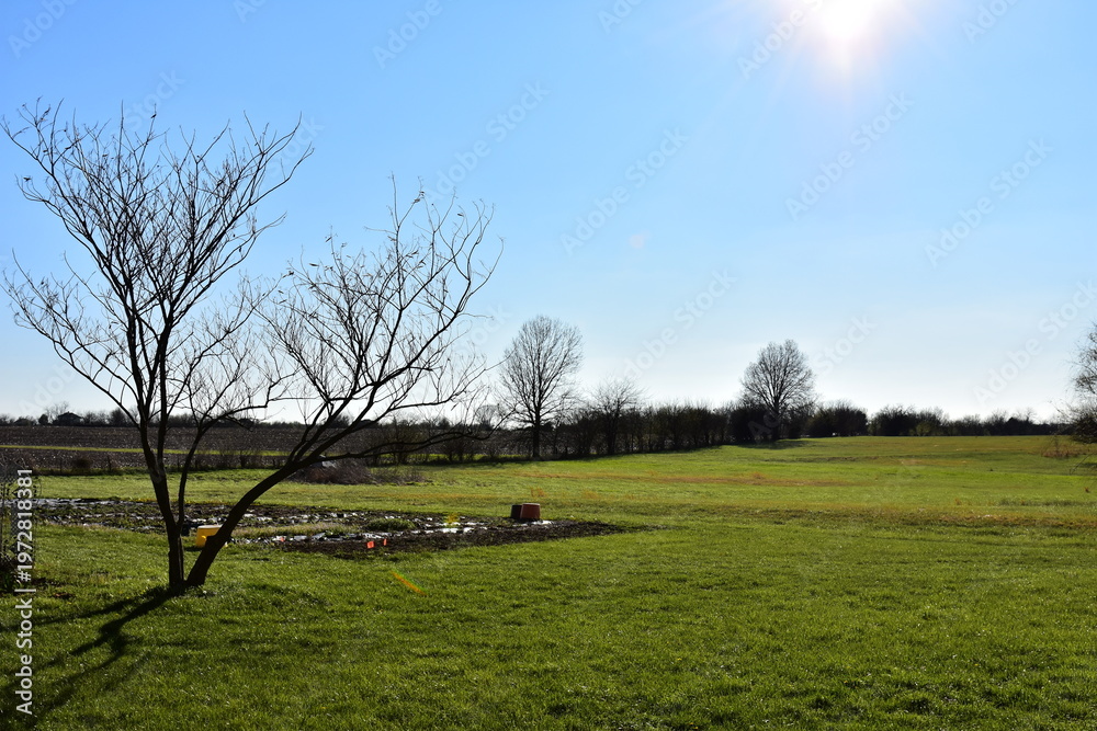 Obraz premium Lawn