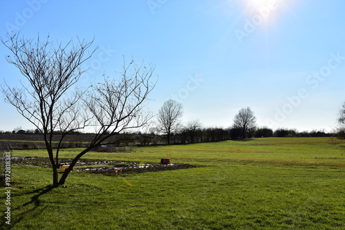 Lawn